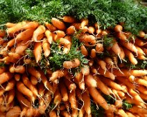 carrots (3)