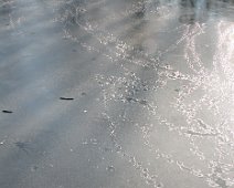 ice tracks